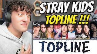 Stray Kids TOPLINE feat Tiger JK BRUHHH REACTION   Stray Kids 5 STAR  Album Track 5 [upl. by Nairoc]