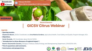 Second Session GICSV Citrus Webinars [upl. by Niuqaoj]