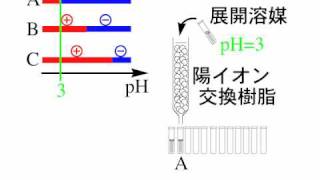 イオン交換クラオマトグラフィーmov [upl. by Ylicec425]