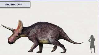 Diplodocus amp Triceratops sounds Copyrighted Version [upl. by Neirol]