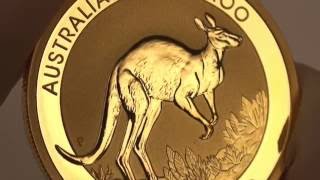 Closeup look at the 2017 Australian Kangaroo Gold Bullion Coin [upl. by Intyrb184]