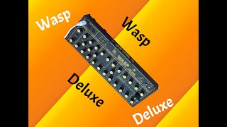 Behringer Wasp Deluxe  Fantastic Fun Synthesizer [upl. by Andreana]