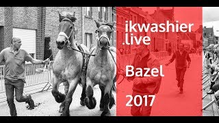 Jaarmarkt Bazel met keuring trekpaarden warmbloedpaarden ezels en pony’s  ikwashierlive in 2017 [upl. by Charlena]