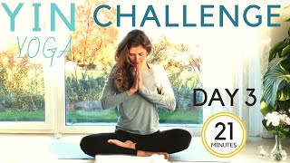 Day 3 ✨ Yin Yoga Challenge✨Body Mind amp Soul Healing✨Yoga with Heather [upl. by Arin]