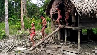 Nyanyian Mentawai Tribe [upl. by Cal]