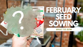 Seeds to Sow in February [upl. by Anyrb747]