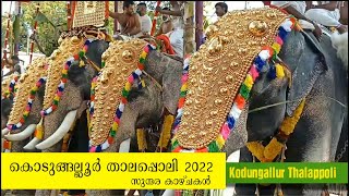 കൊടുങ്ങല്ലൂര്‍ താലപ്പൊലി 2022 Kodungallur Thalappoli 2021 Kodungallur Templeസുന്ദര കാഴ്ചകള്‍ [upl. by Peugia]