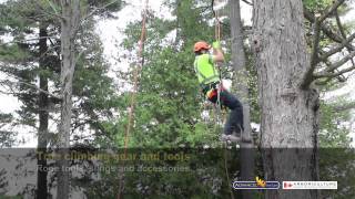 Advanced Tree Care  Tree Climbing Fall Protection amp Work Positioning [upl. by Korry79]