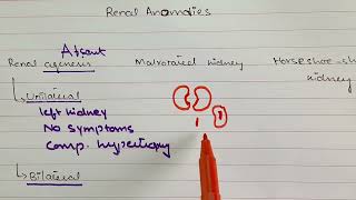 Important clinicals of Embryology Second year MBBS  Part 1 [upl. by Arnold]