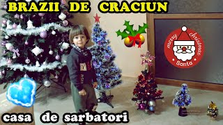 Avem 5 BRAZI de Crăciun  🎄🎄 TURUL CASEI DE Sărbători 🏡✨✨ Vlogmas 12 🎉 [upl. by Levan]