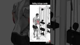 TRICEPS COM CORDA NO PULLEY OU CROSS [upl. by Ynohtnacram]