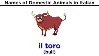 Italian Vocabulary Domestic Animals [upl. by Lugar323]