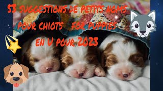 🥰🐶 quel petit nom pour mon chiot  for my puppy 53suggestions de prénoms chiots pour 2023 en U [upl. by Magen878]