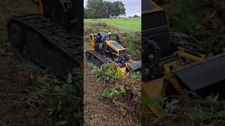 RC MOWING ROBOCUT MOWING Invasive species automobile golf meadow rcmower invasivespecies [upl. by Eustache719]