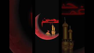 ya Hussain zindabad [upl. by Adnaram643]