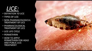 LICE  TYPES OF LICE  NONPHARMACOLOGICAL TREATMENT OF LICEPHARMACOLOGICAL TREATMENT OF LICE [upl. by Irap304]