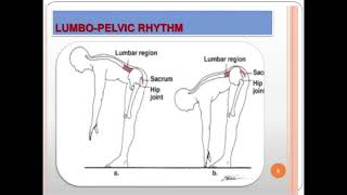 LUmbo pelVIC RHYThM [upl. by Aihsal]