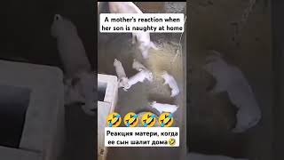 A mothers reaction when her son is naughty at homefunny video [upl. by Leonardi]