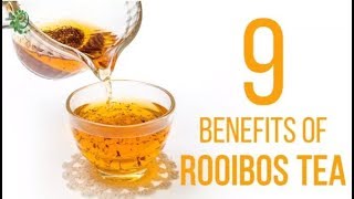 9 Amazing Ways Rooibos Tea Can Benefit Your Health  Organic Facts [upl. by Nylrak]