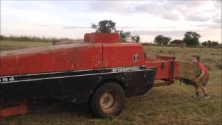 1952 E1A Fordson Major Bailing hay [upl. by Bick]