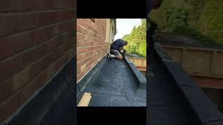 Installing felt upstands ready for skylight from brandonroofingltd 🔥 [upl. by Sakiv]