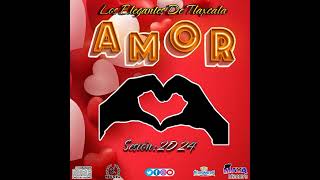 Los Elegantes De Tlaxcala  quotAmorquot cover [upl. by Aidnyl]