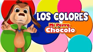 MI PERRO CHOCOLO APRENDE  LOS COLORES EN ESPAÑOL E INGLÉS [upl. by Ydwor986]