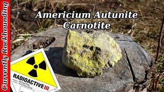 Radioactive Fun Americium Autunite amp Carnotite [upl. by Atived]