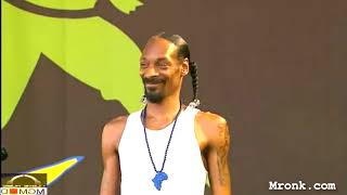 Snoop Dogg Nád a házam 2 Alma Együttes mashup [upl. by Beniamino]