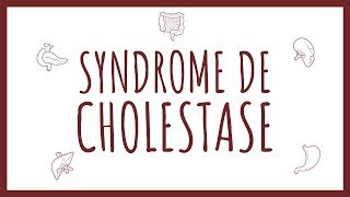 Sémiologie Hépatique  Syndrome de Cholestase [upl. by Drof]