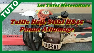 Taille haie Stihl HS45  Panne allumage  diag  12 [upl. by Spielman863]