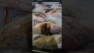 grouper fish00971554903734 fish fishing fishingvideo lobster food dubai market fishmarket ❤️ [upl. by Otrebogad]