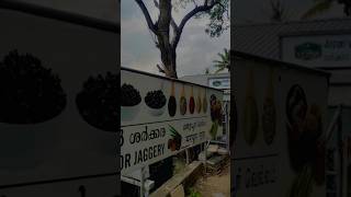 Marayoor jaggery factory മറയൂർ ശാർക്കരkeralanature [upl. by Day697]