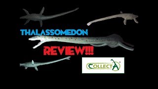 Collecta 140 quotDeluxequot Thalassomedon Review [upl. by Odysseus371]