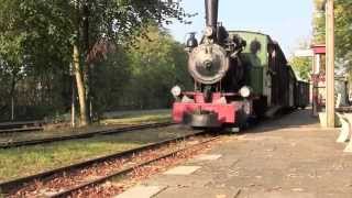 Moorexpress und Dampf beim Deutschen Feld und Kleinbahnmuseum Deinste [upl. by Betteanne]