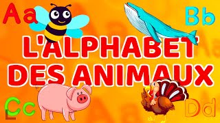 LALPHABET ANIMAUX et LES CHIFFRES HIPPOPOTAME 🦛️ Papa Poule Comptines [upl. by Aerdnahs]