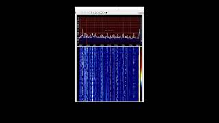 Chaos im 80m Band Mittelwellen Kurzwellen RTL SDR Live [upl. by Nnylyma742]