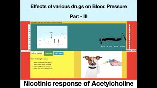 Nicotinic Action of Acetylcholine Effect of Drugs on BP ExPharm  Pharmacology Part III [upl. by Maryn]