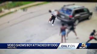 Dog attacks child man who intervened in Price Hill [upl. by Sioled228]