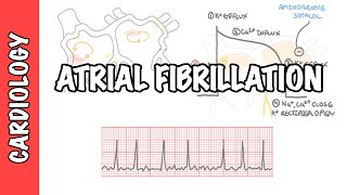 Atrial Fibrillation Overview  ECG types pathophysiology treatment complications [upl. by Iphigenia]