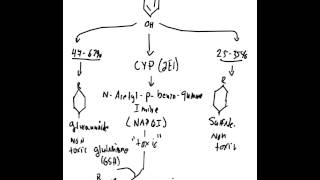 Acetaminophen Toxicity [upl. by Eidorb]