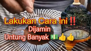 Jangan Anggap Sepele‼️Retorasi Sangkar Lama menjadi Seperti Baru Lagi👍 [upl. by Elbag]