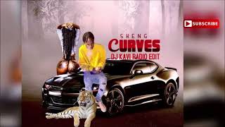 Skeng Curves DjKavi Radio Edit [upl. by Oilejor]