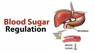 CHO METABOLISM Biochemistry Session 18Regulation of Blood Glucose Part1 [upl. by Cissy]