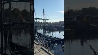 Roskilde Denmark 🇩🇰 Viking Ships Harbor travel vikings [upl. by Ardnuasak]