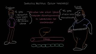 Diyabet Şeker Hastalığı Nedir Fen Bilimleri Sağlık ve Tıp [upl. by Rosenblum]