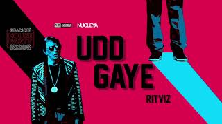 Ritviz  Udd Gaye Instrumental [upl. by Novyaj]