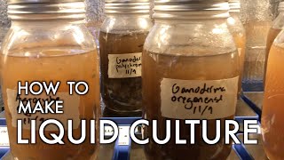 How to Make Liquid Culture DIY Mushroom Cultivation Made Easy [upl. by Litman]