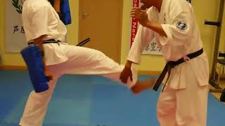 Ashihara Karate Sabaki pads training 2017 [upl. by Attenreb]