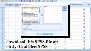 Calculating and Understanding Correlations in SPSS and Excel [upl. by Enahc]